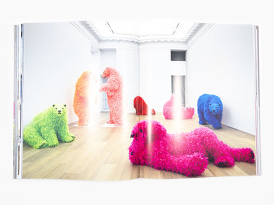 Paola Pivi - monographie (Phaidon)