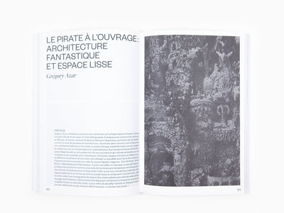 Polygone n°0 - Pirate