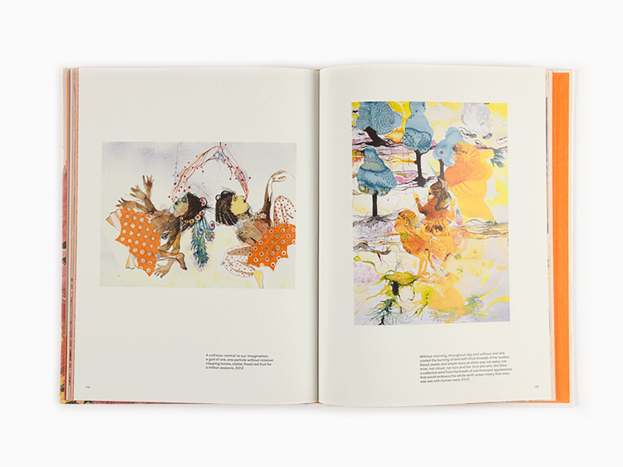 Rina Banerjee - Monograph