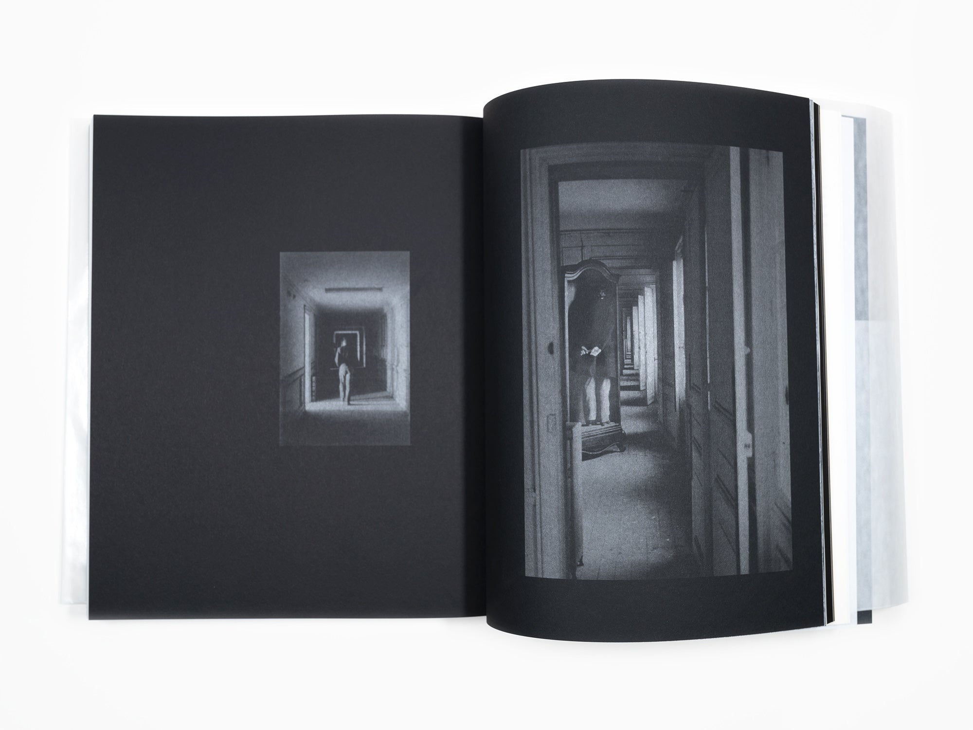 Sophie Calle / Jean-Paul Demoule - L'ascenseur occupe la 501