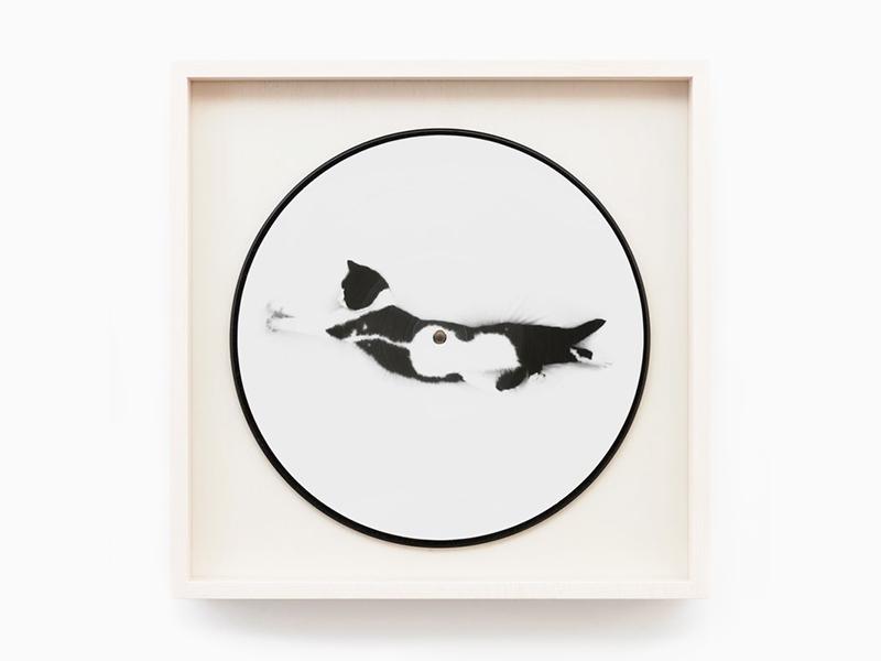 Sophie Calle - Souris Calle (Edition de luxe)