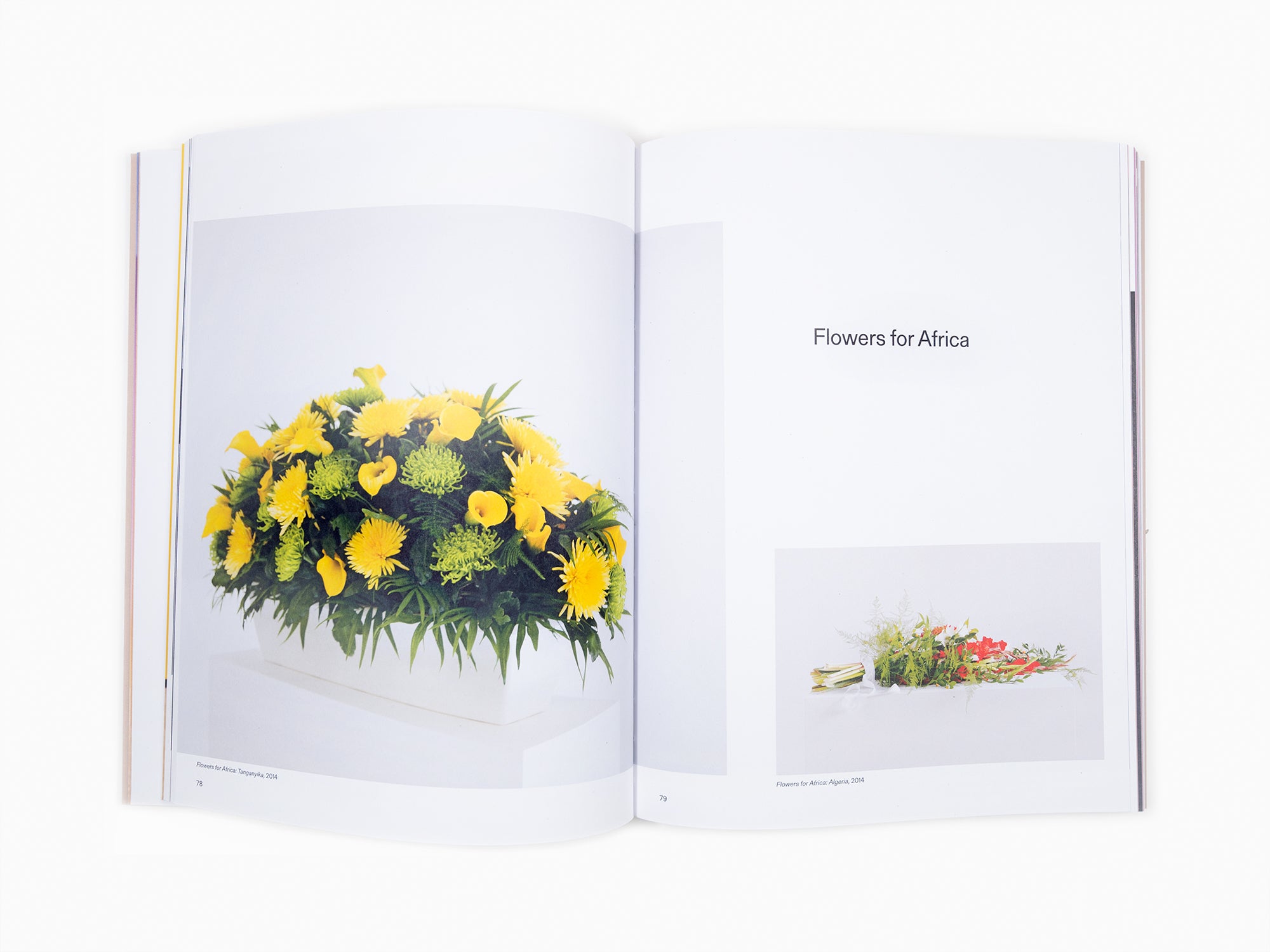 Kapwani Kiwanga - La longueur de l'horizon