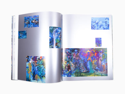 Ali Banisadr - Catalogue Rizzoli