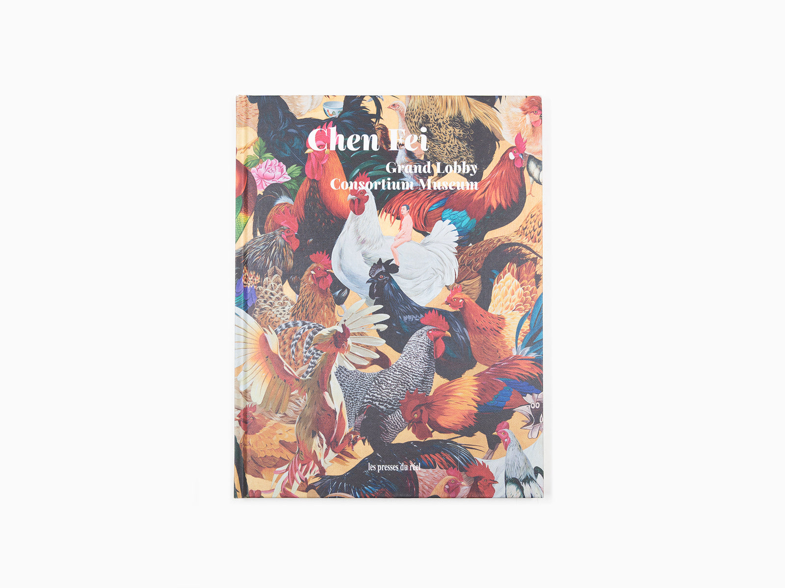 Chen Fei - Grand hall d'entrée