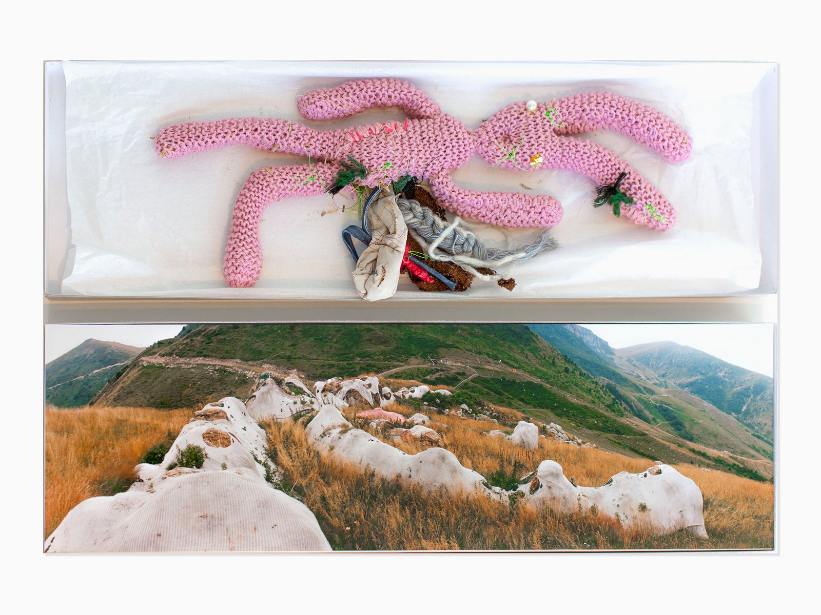 Gelitin - Hase, 2014