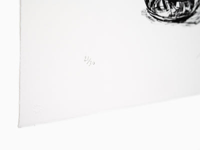 Jean-Philippe Delhomme - Fleurs fanées