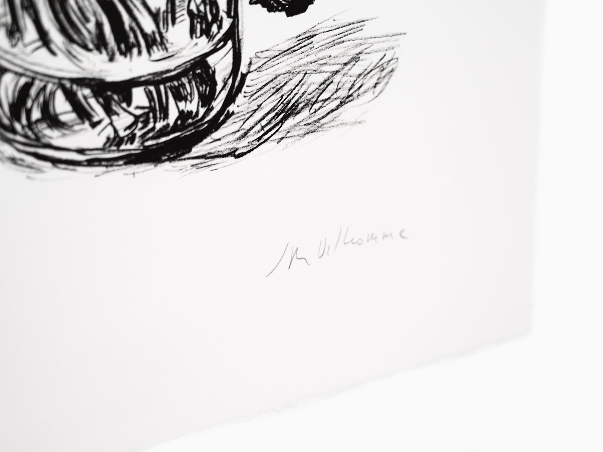 Jean-Philippe Delhomme - Fleurs fanées