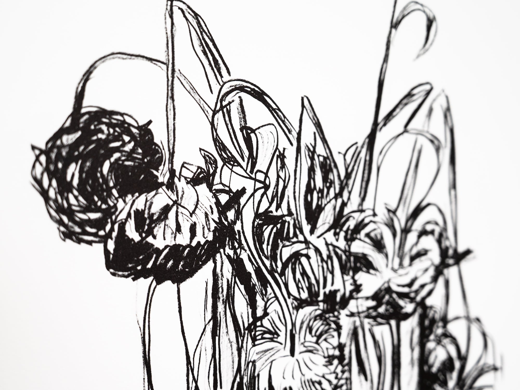 Jean-Philippe Delhomme - Fleurs fanées