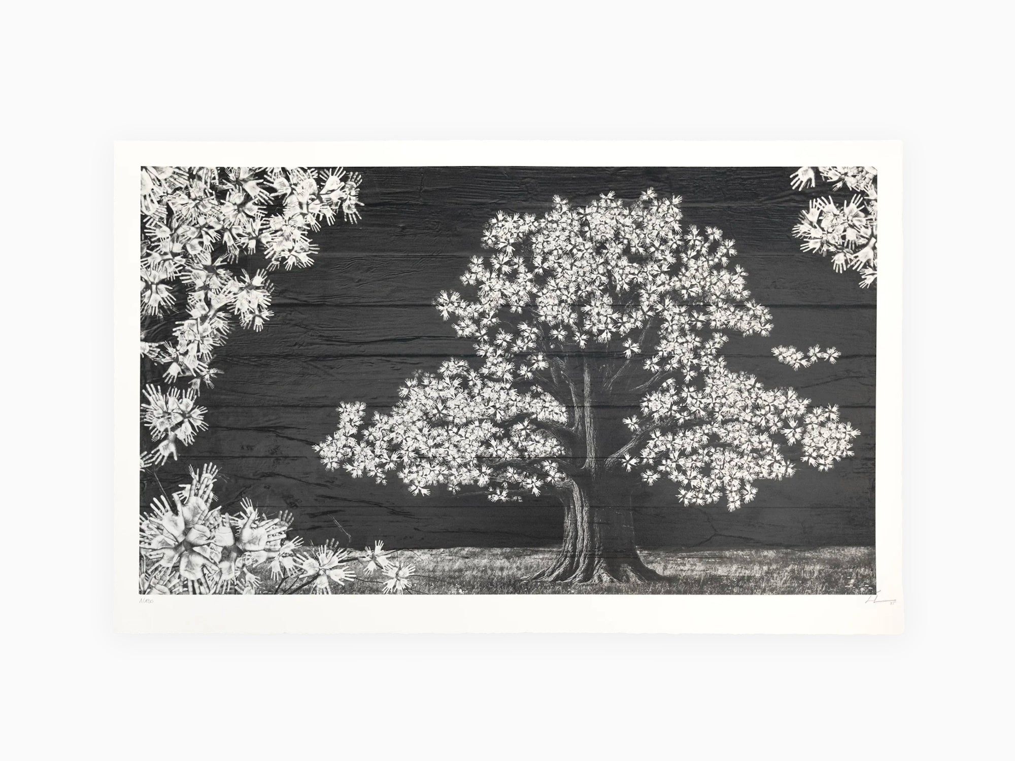 JR - Adventice, Montpellier, France, 2025