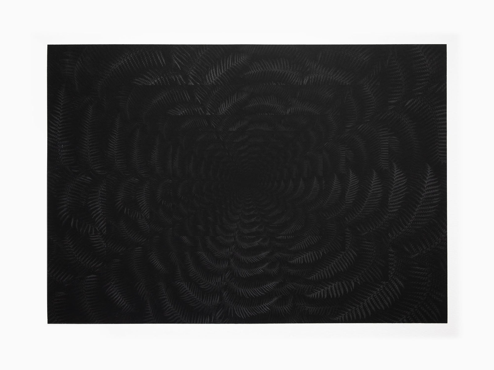 Julian Charrière - Dicksonia Antarctica (édition)