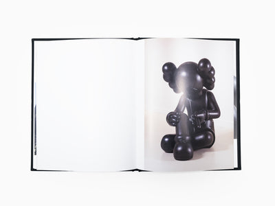 FROM THE ARCHIVES: KAWS - Derniers jours