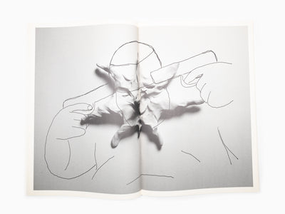 Federico Pepe - Que regrettons-nous, où tombons-nous, que léchons-nous, quand nous couchons-nous ?