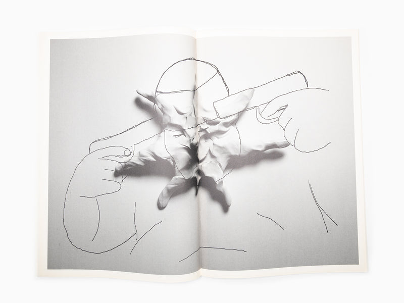 Federico Pepe - Que regrettons-nous, où tombons-nous, que léchons-nous, quand nous couchons-nous ?