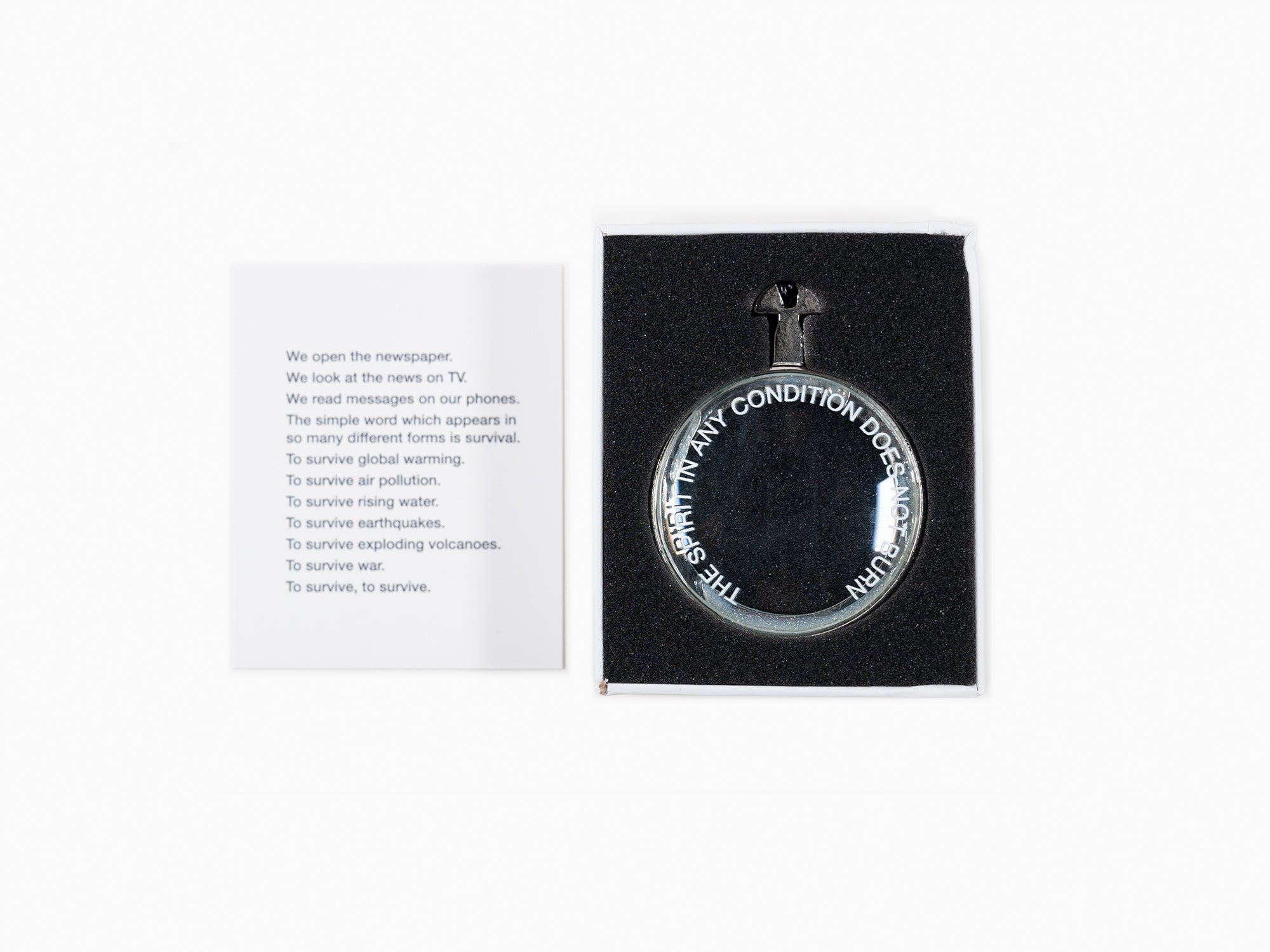 Marina Abramovic - Le miroir de la survie