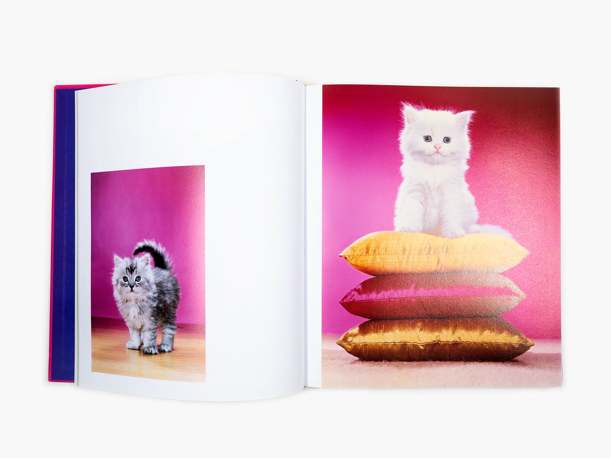 Maurizio Cattelan - Chromotherapia - Feel-Good Color Photography (Photographie en couleurs)