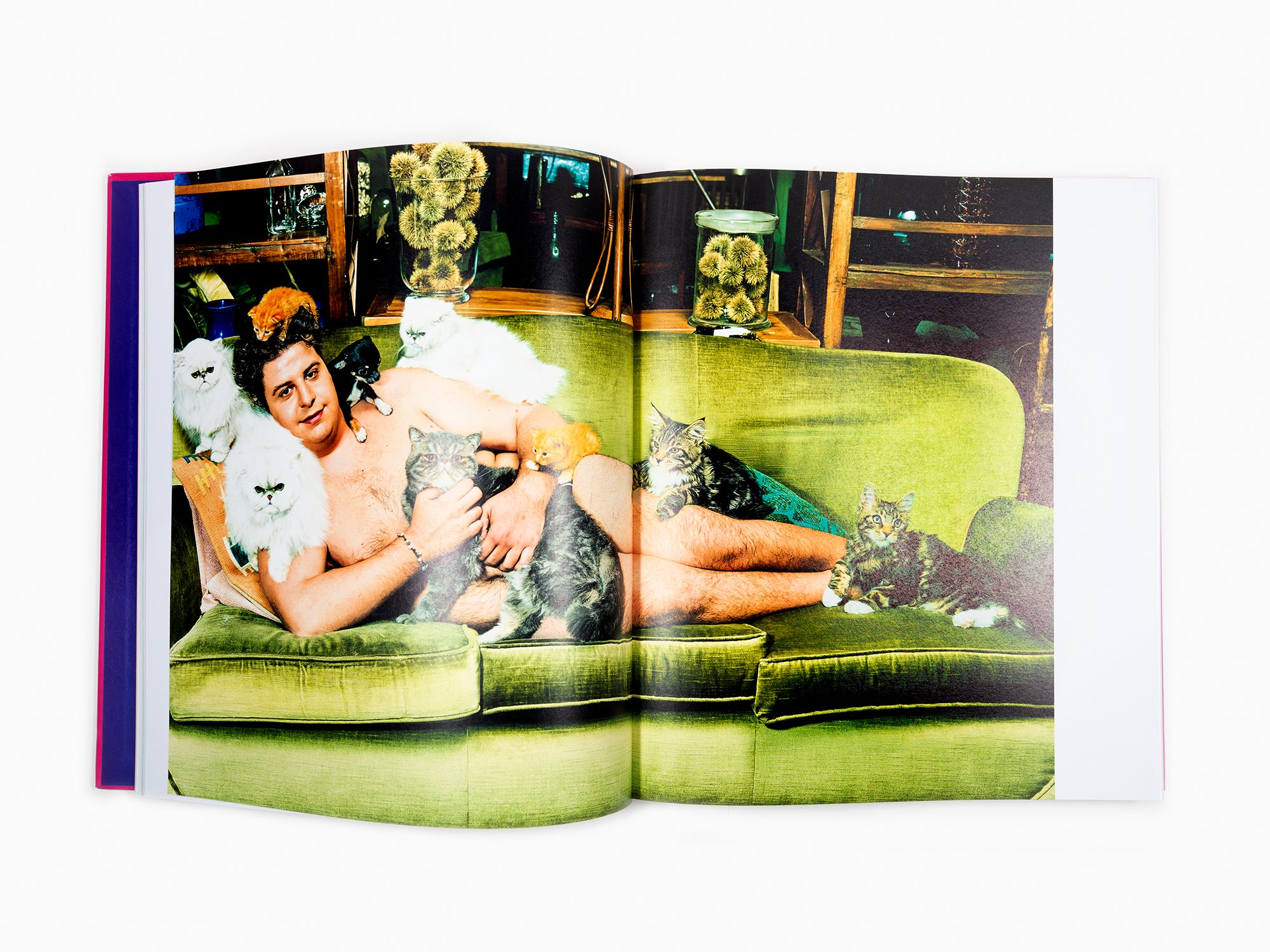 Maurizio Cattelan - Chromotherapia - Feel-Good Color Photography (Photographie en couleurs)