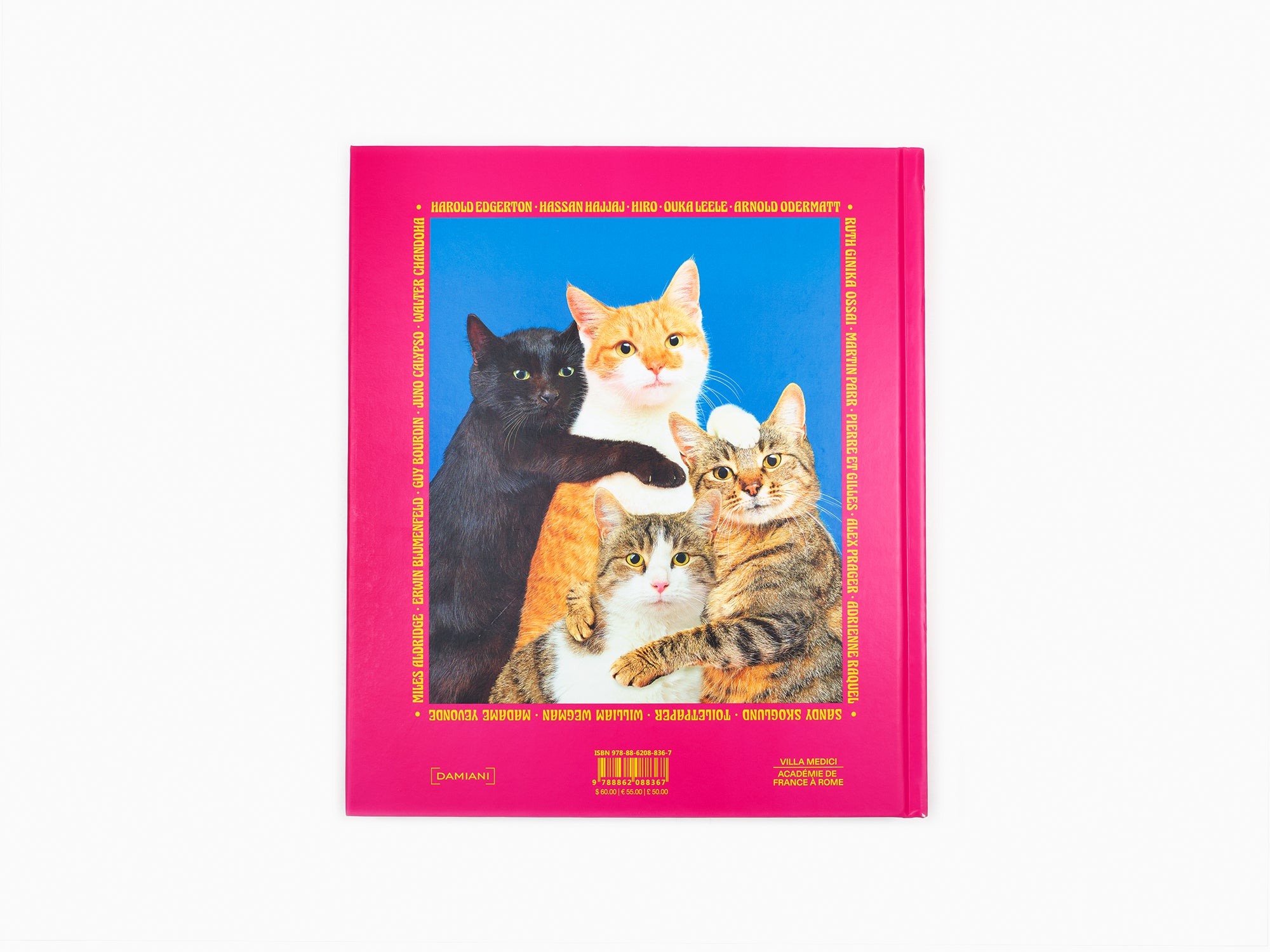 Maurizio Cattelan - Chromotherapia - Feel-Good Color Photography (Photographie en couleurs)