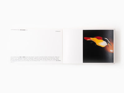 Maurizio Cattelan - Charley N°2