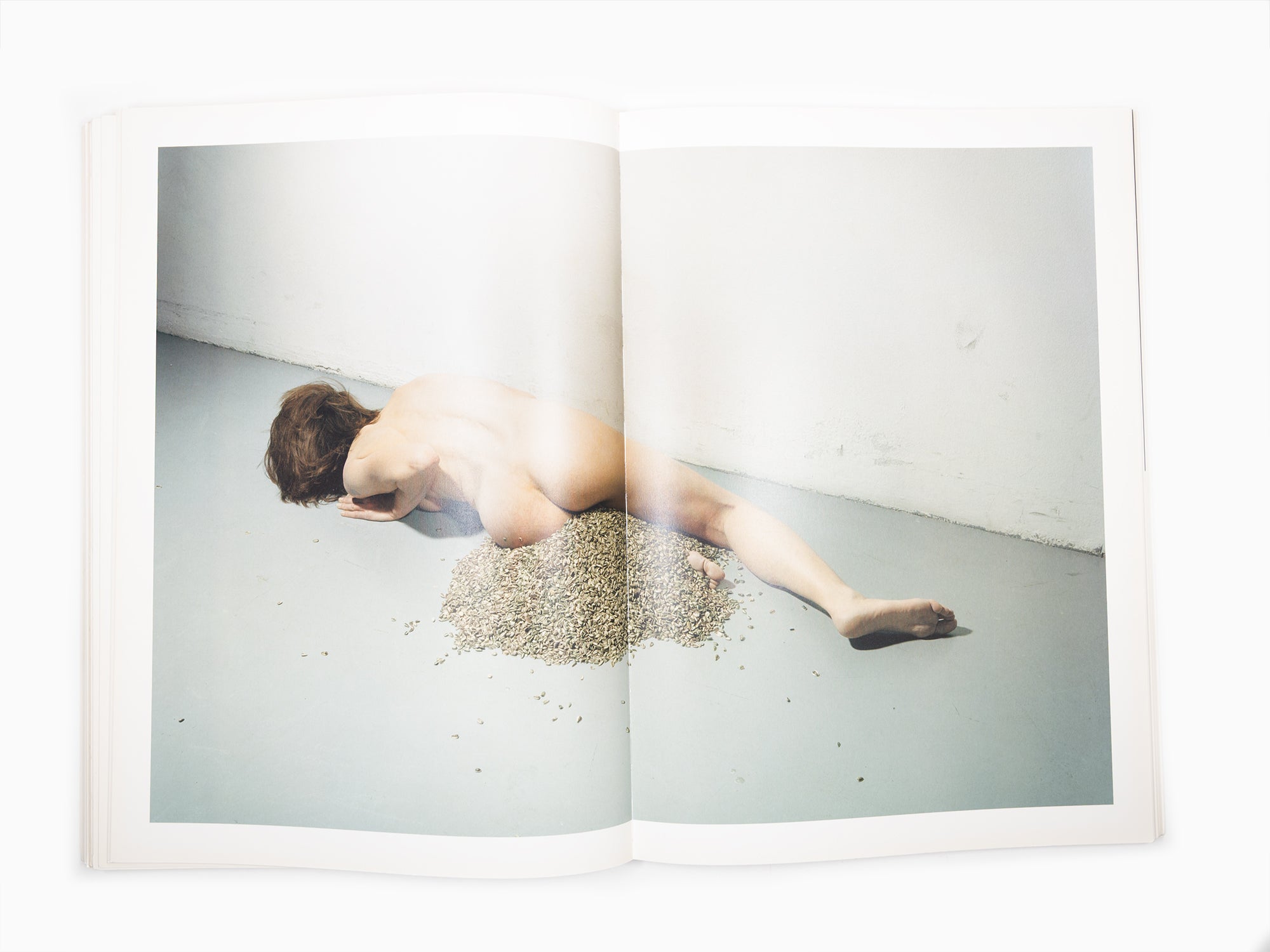 Maurizio Cattelan - Le Dictateur 01