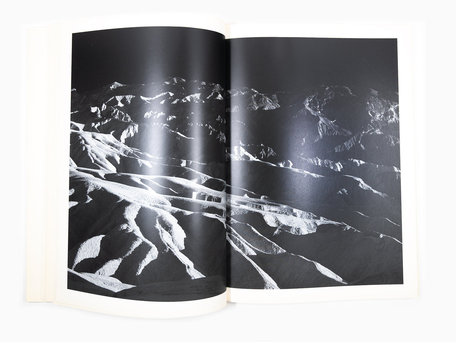 Maurizio Cattelan - Le Dictateur 02