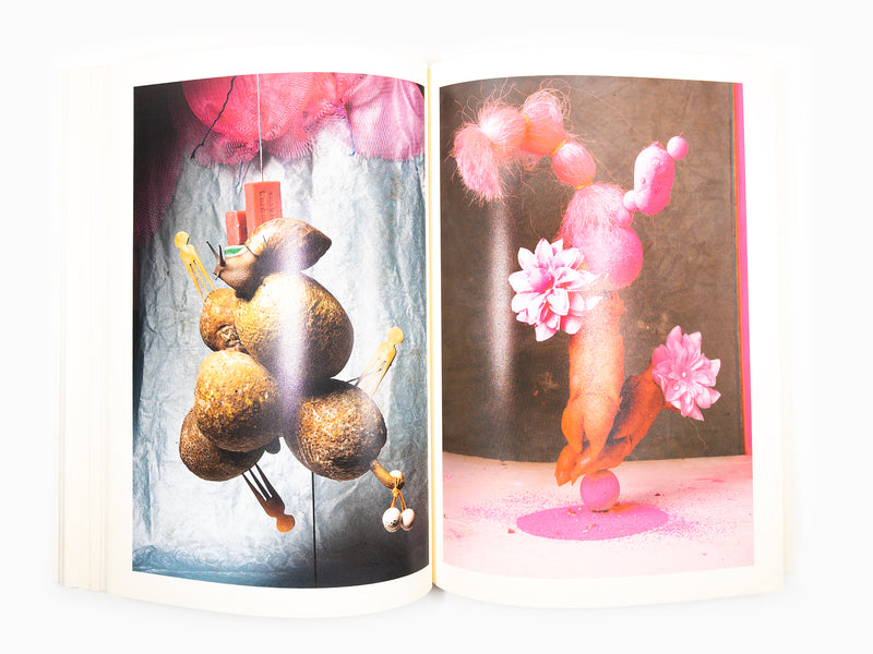 Maurizio Cattelan - Le Dictateur 04