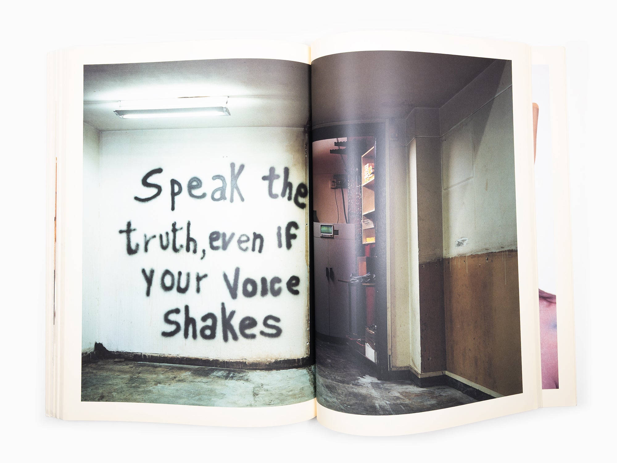 Maurizio Cattelan - Le Dictateur 03