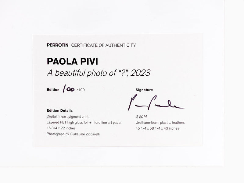 Paola Pivi - Une belle photo de " ?", 2023