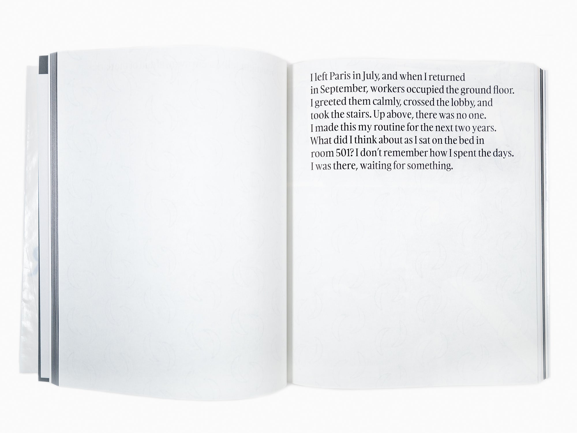 Sophie Calle / Jean-Paul Demoule - L'ascenseur réside dans le 501