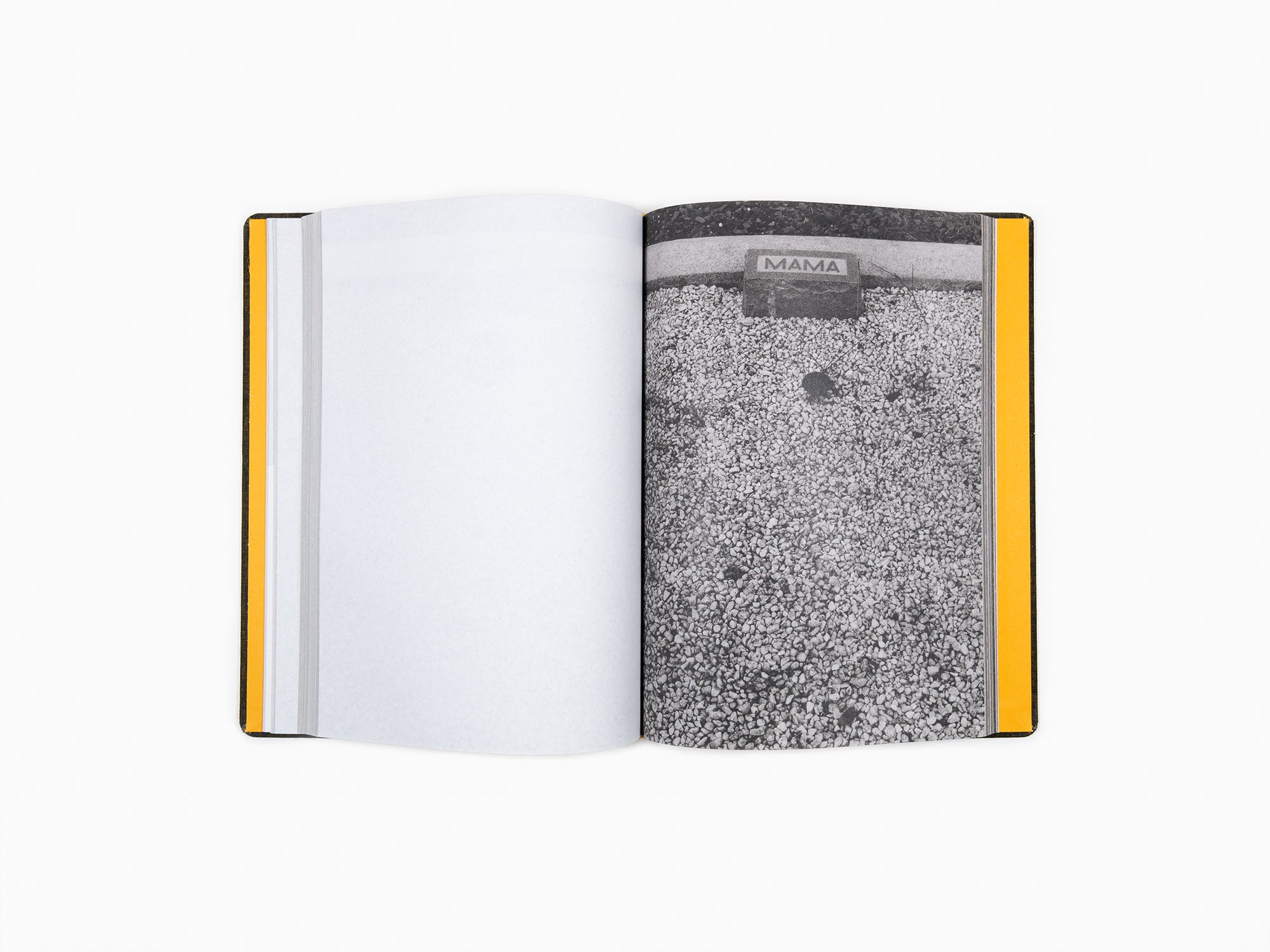 Sophie Calle - Que faites-vous de vos morts ? (nouvelle édition)