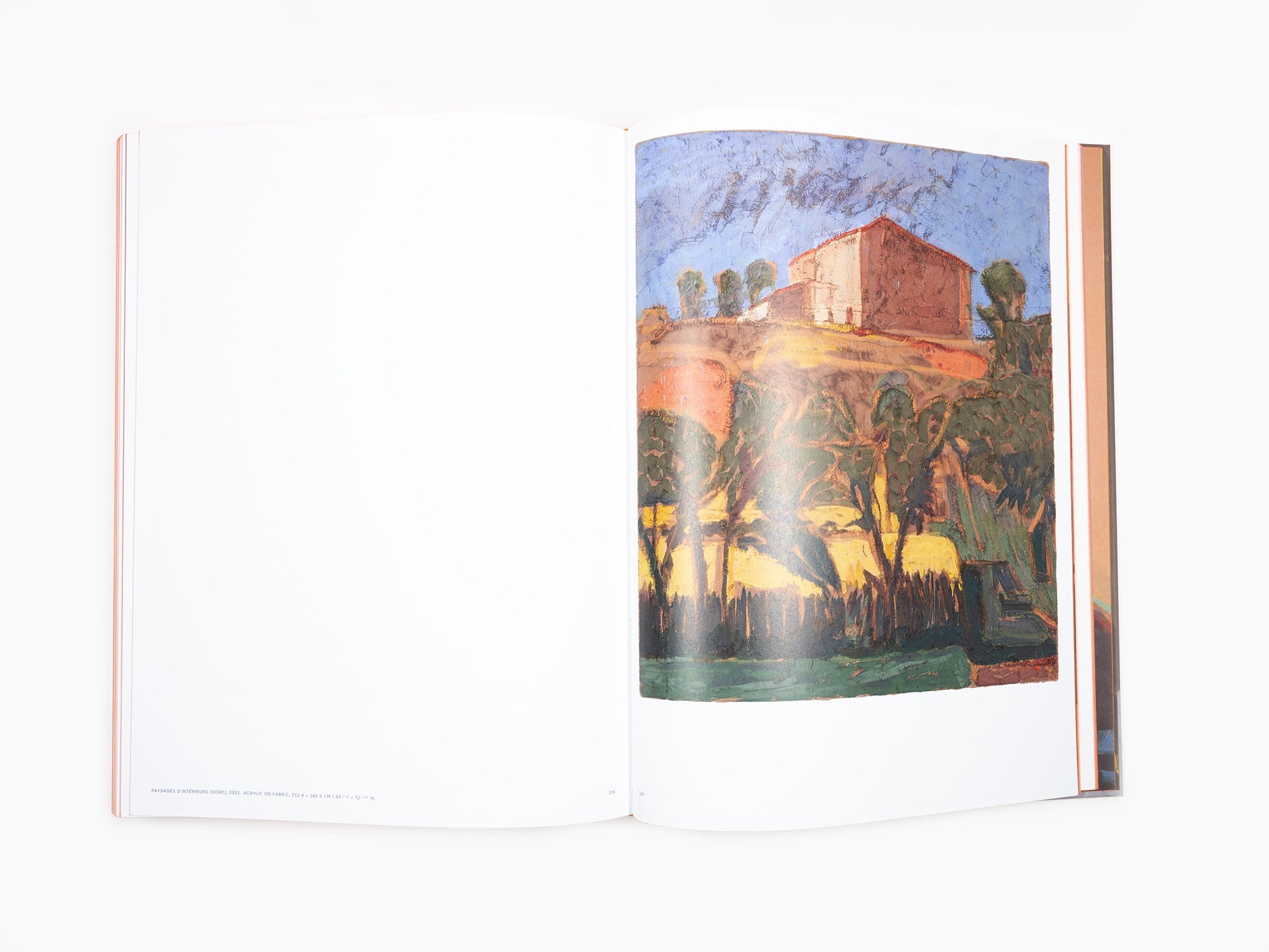 Claire Tabouret -monographie  Perrotin  (édition revue et augmentée)