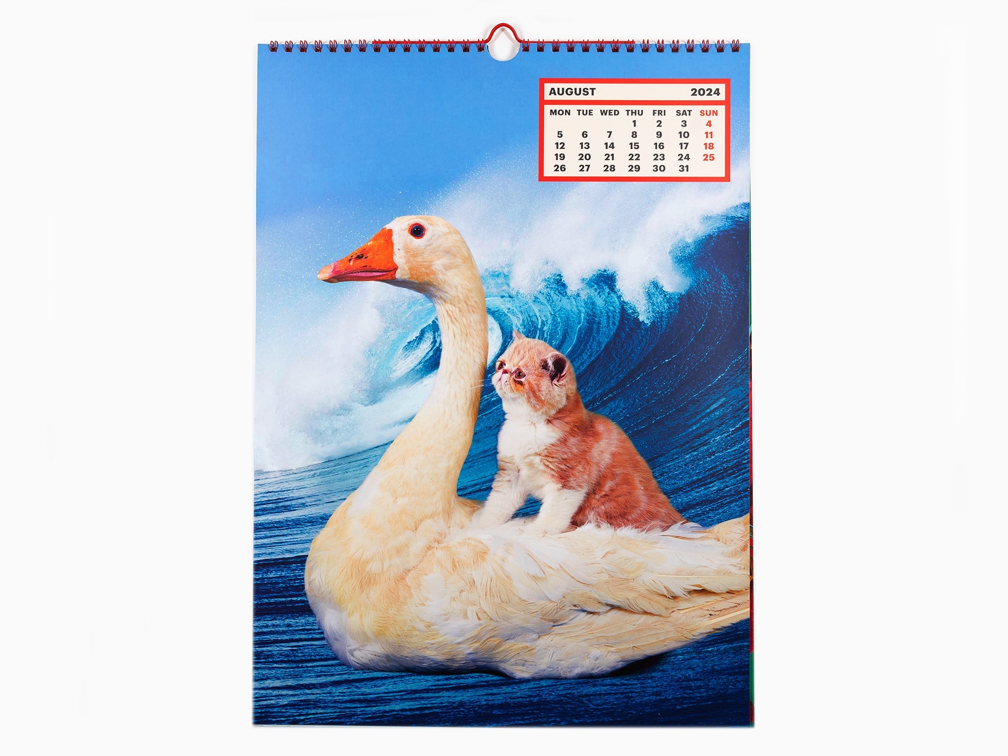 Toiletpaper - Calendrier 2024