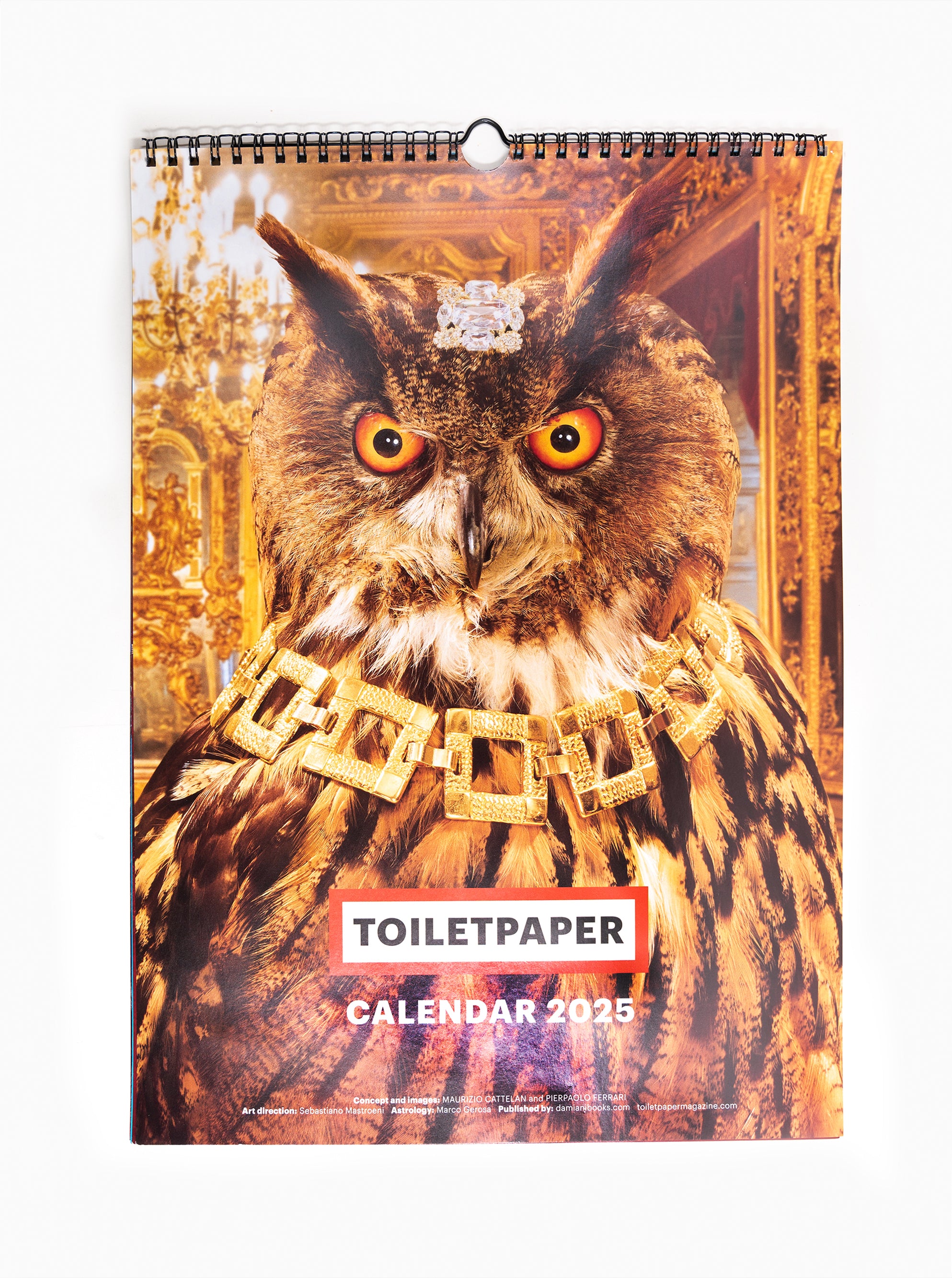 Toiletpaper - 2025 Calendar