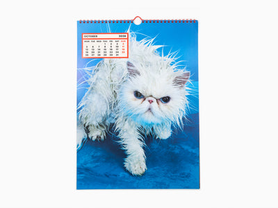 Toiletpaper - ToiletWalter PaperChandoha Calendar 2026