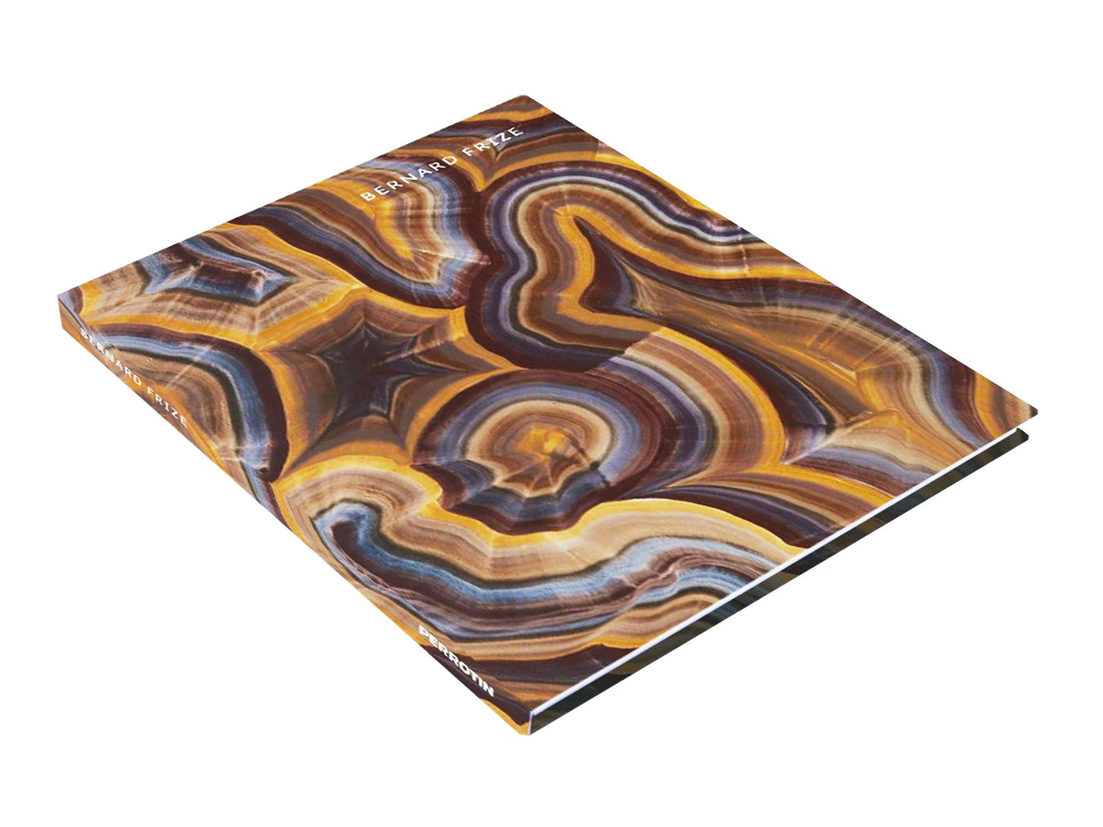 Bernard FRIZE - Catalogue GEP 2014