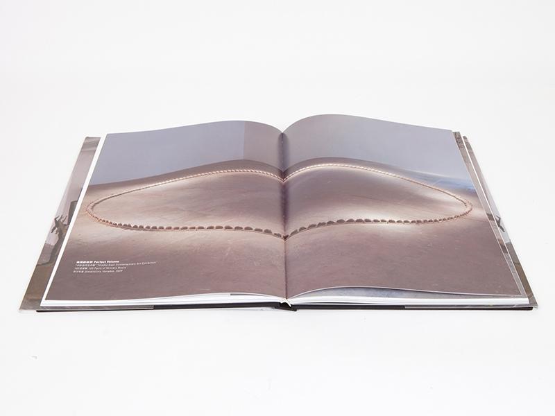 Xu Zhen - Catalogue UCCA