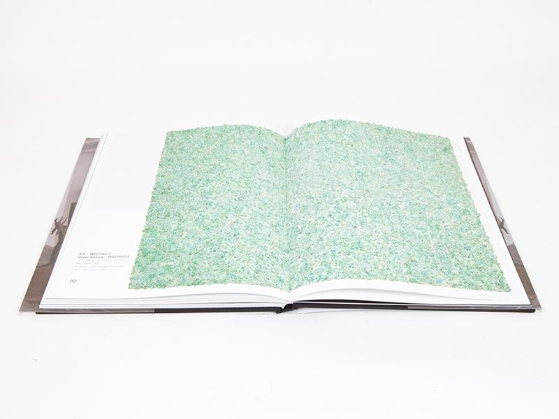 Xu Zhen - Catalogue UCCA