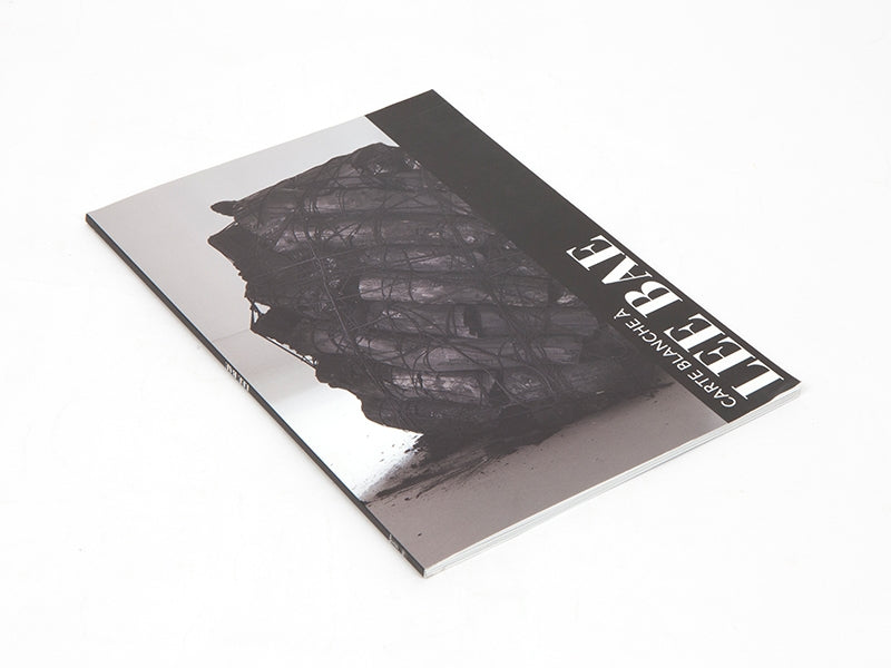 Lee Bae - Carte blanche à Lee Bae (Musée Guimet)