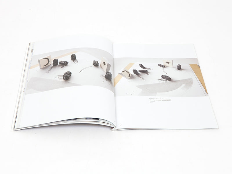 Lee Bae - Carte blanche à Lee Bae (Musée Guimet)