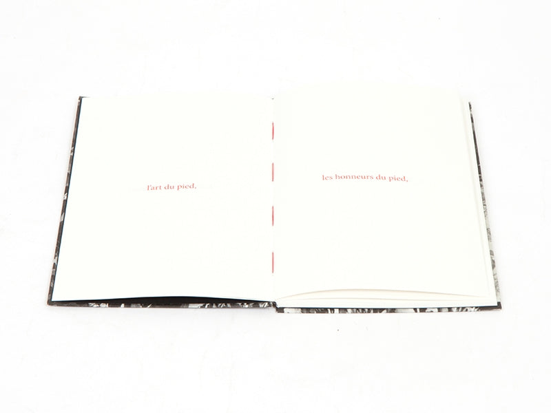 Sophie Calle - Les fanfares de circonstance