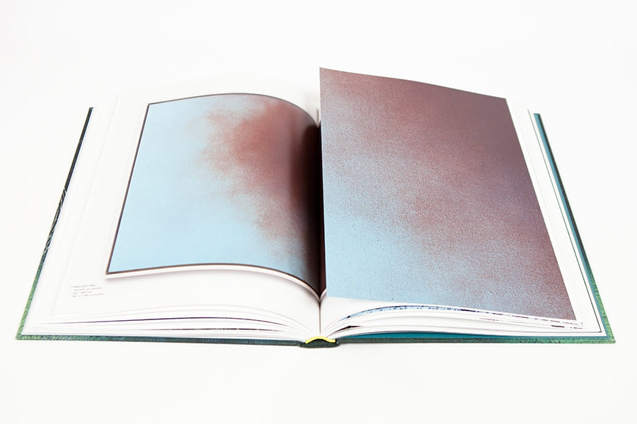 Hans Hartung - A constant storm (cat GEP)