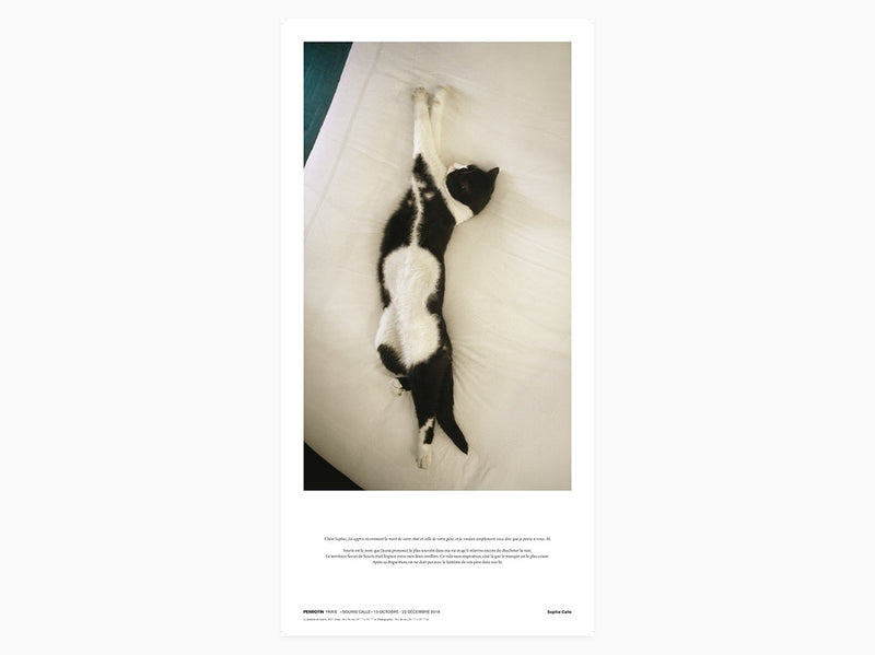 Sophie Calle - poster d'exposition Souris Calle