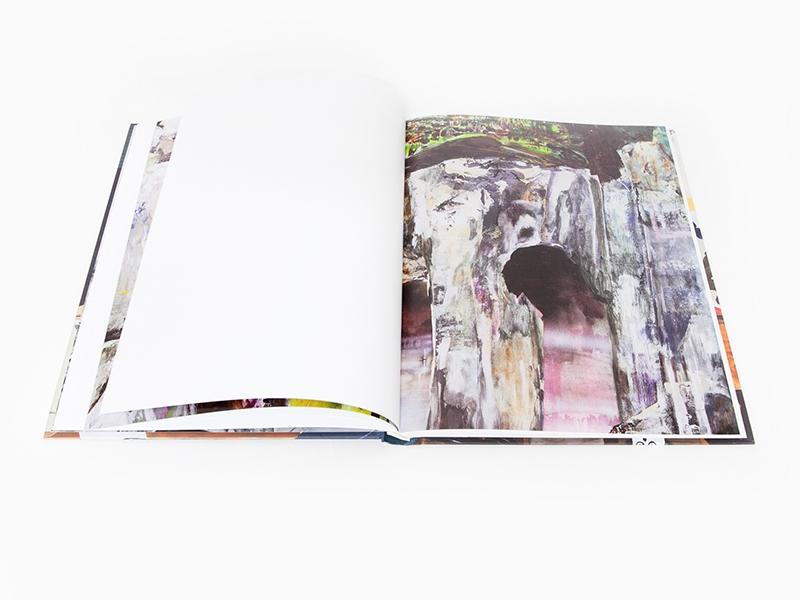 Hernan Bas - Un bref intermède