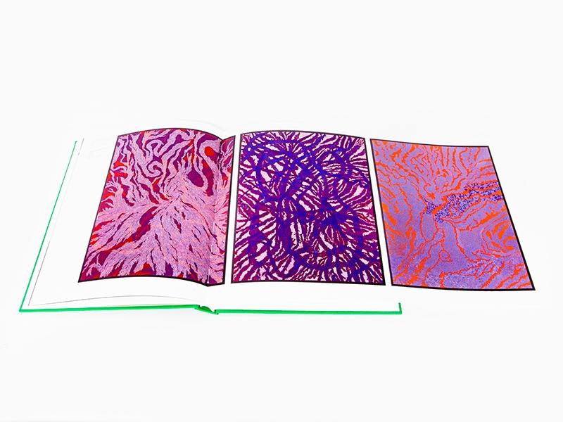 Bharti KHER - Misdemeanours