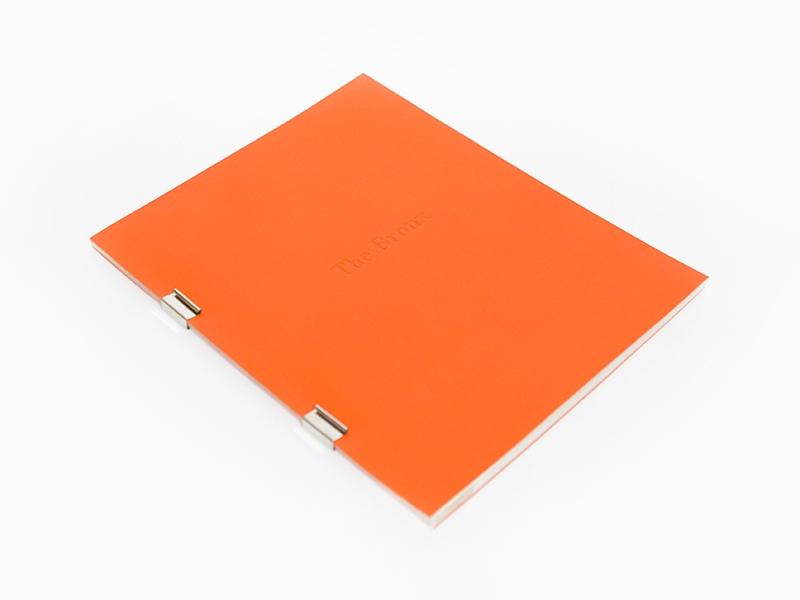 Sophie Calle - Bronx