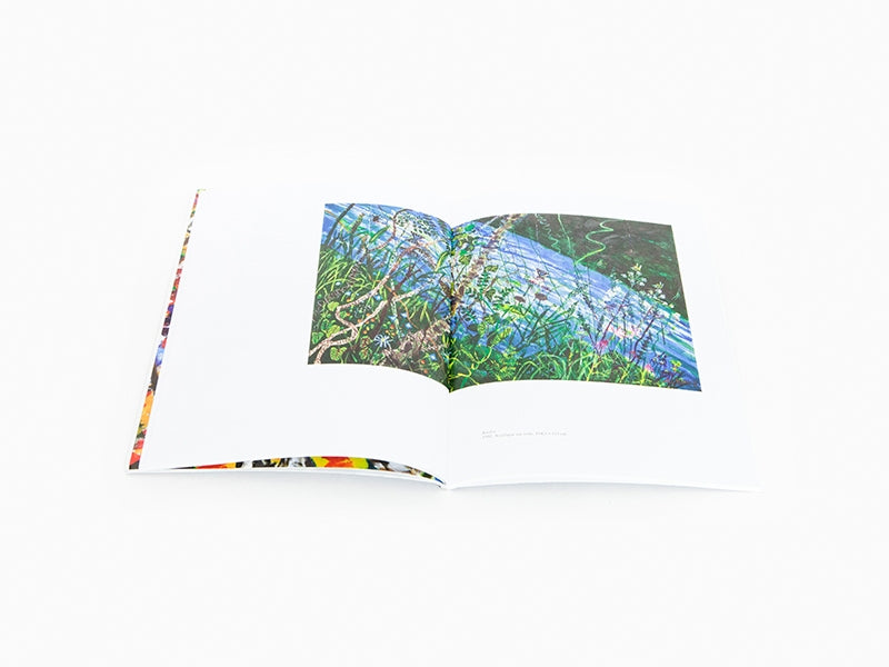 Kim Chong-Hak - Carte blanche Musee Guimet