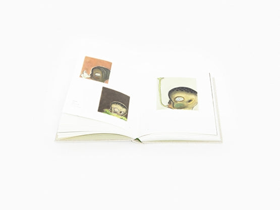 Izumi Kato - Drawings & Paper Works