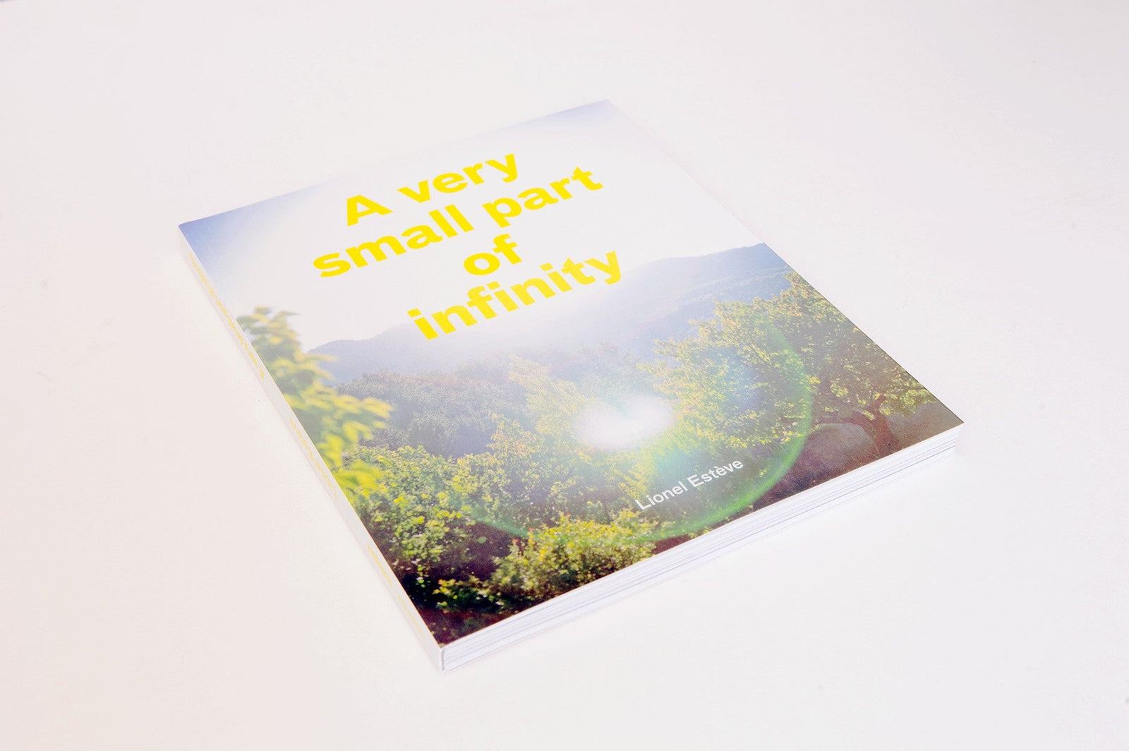 Lionel ESTEVE - Une toute petite partie de l'infini