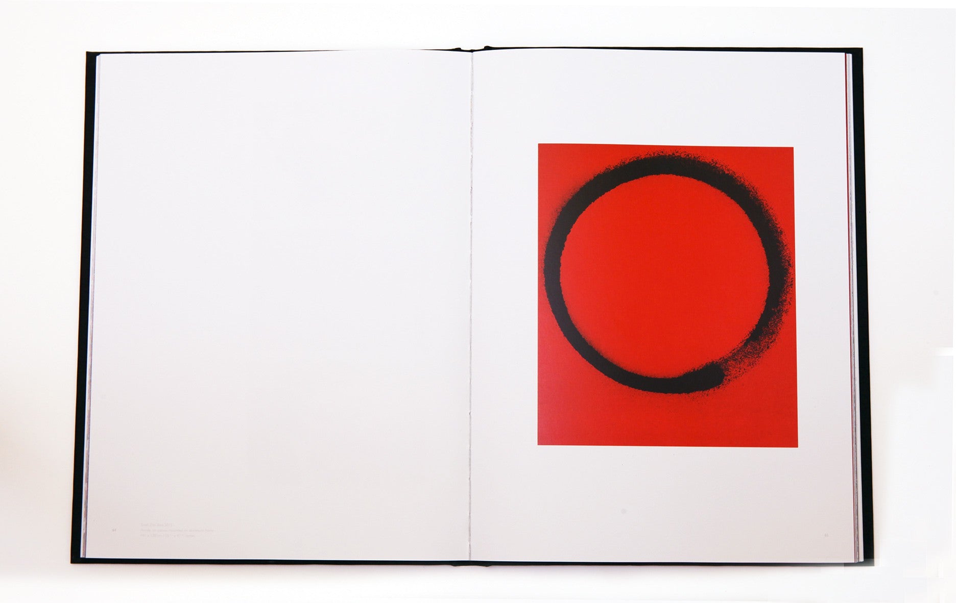 Takashi Murakami - Enso 1