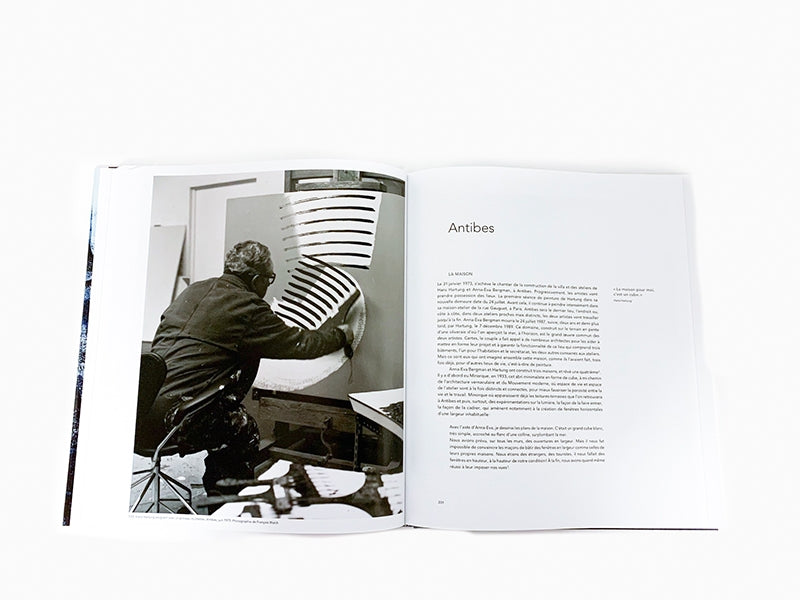 Pierre Wat - Hans Hartung La peinture pour mémoire