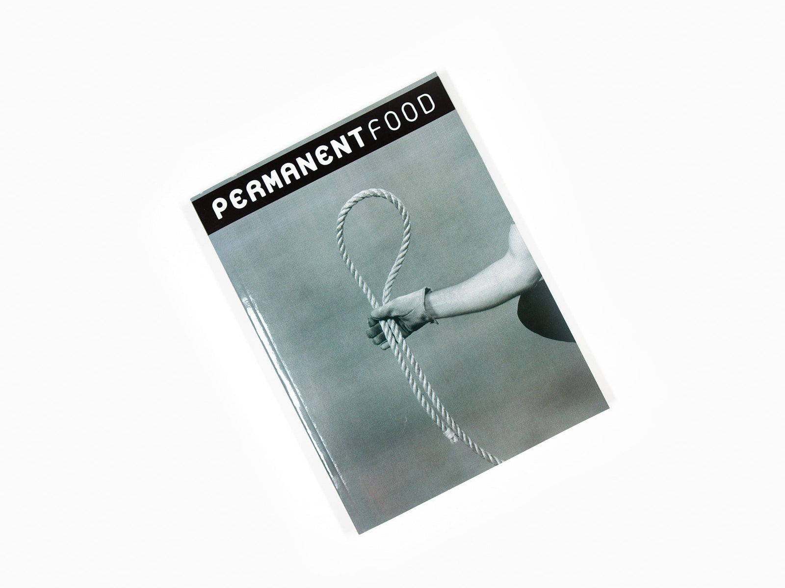 Permanent Food n°14 (lasso)
